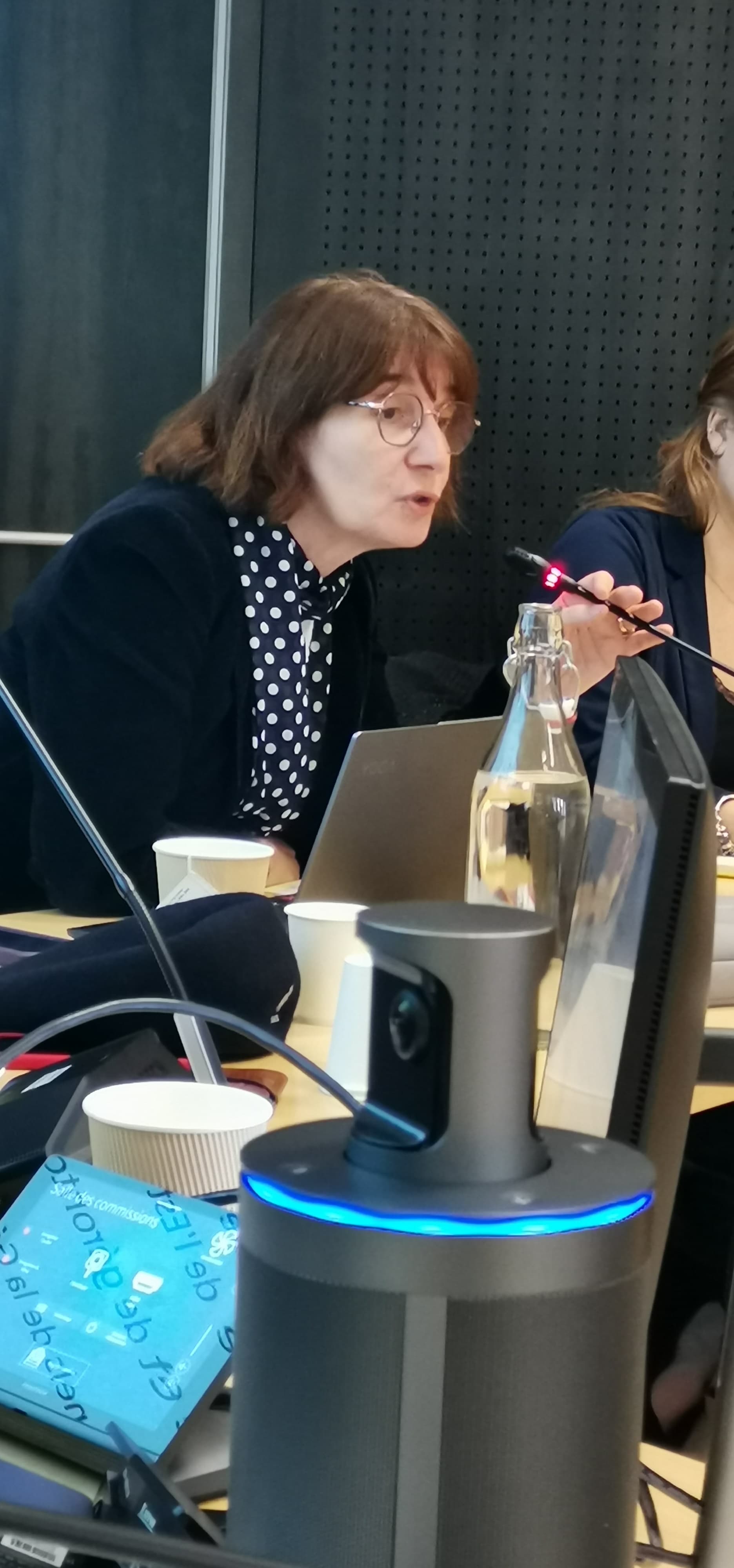 atelier stratégie de prévention du vieillissement